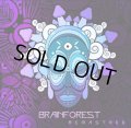 Brainforest / Remastered