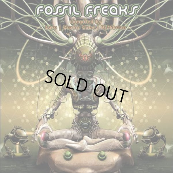 画像1: V.A / Fossil Freaks (1)
