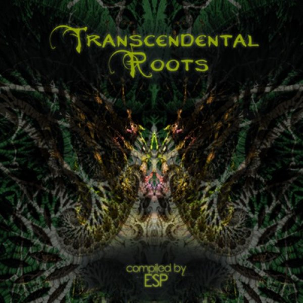 画像1: V.A / Transcendental Roots (1)