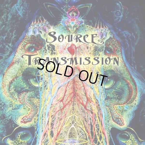 画像1: V.A / Source Transmission (1)