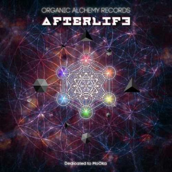 画像1: V.A / Afterlife (1)