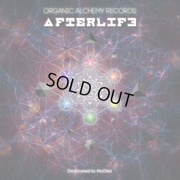 画像1: V.A / Afterlife (1)