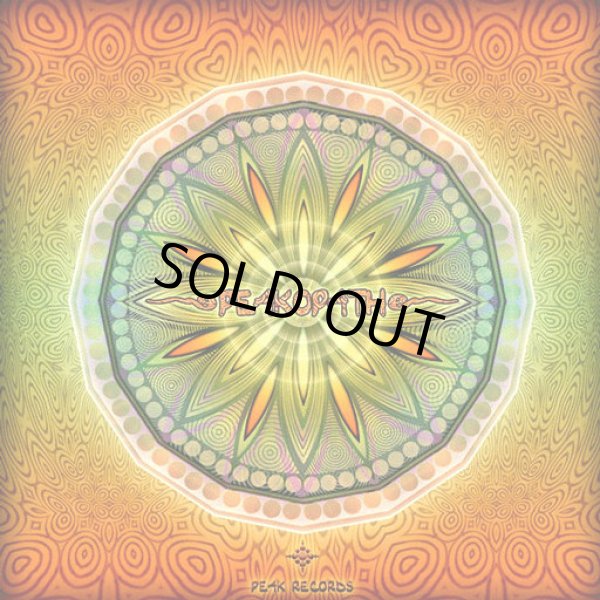 画像1: V.A / Peakopath (1)