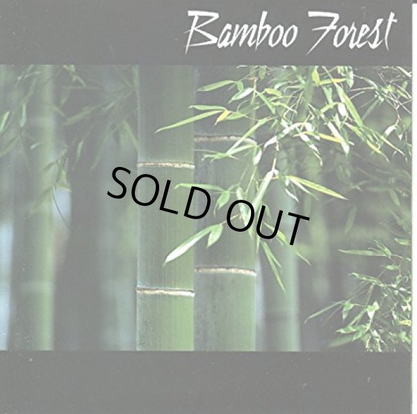 画像1: Bamboo Forest / Bamboo Forest (1)