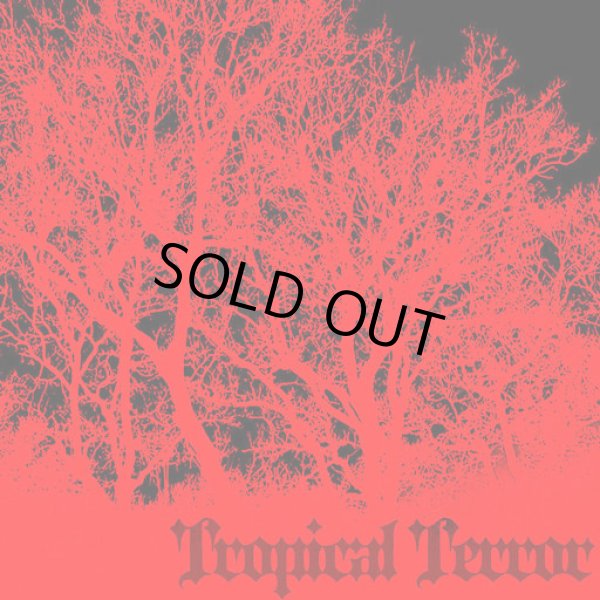 画像1: V.A / Tropical Terror (1)