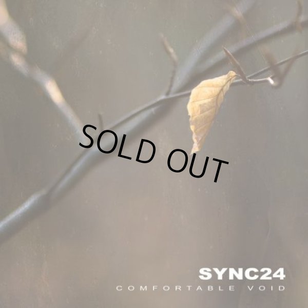 画像1: Sync24 / Comfortable Void (Remastered) (1)