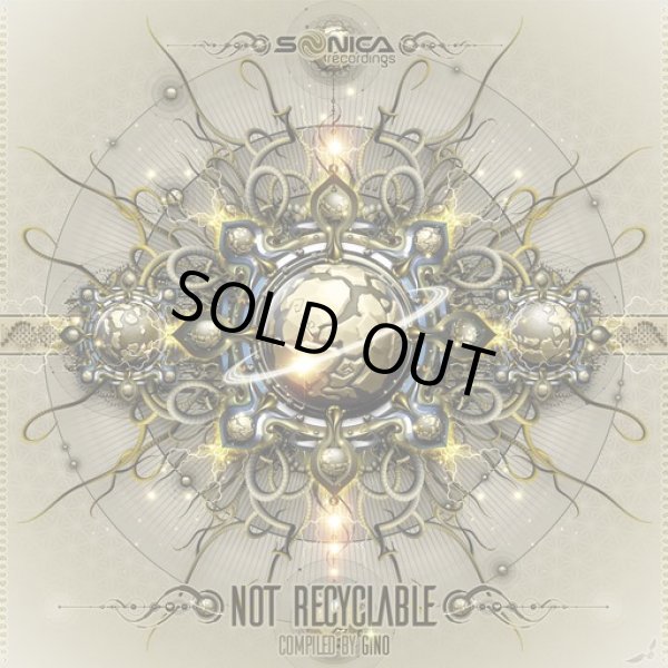 画像1: V.A / Not Recyclable (1)