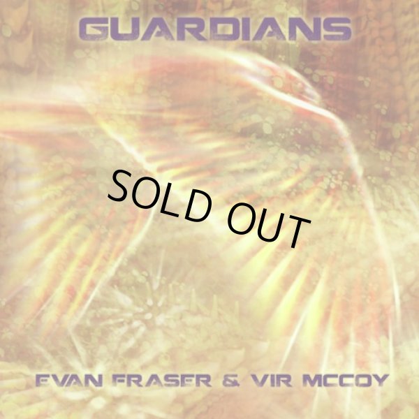 画像1: Evan Fraser & Vir McCoy / Guardians (1)