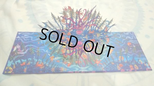 画像3: V.A / Dasha - 10 Years Of Vantara Vichitra (3)