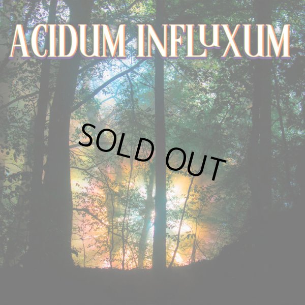 画像1: V.A / Acidum Influxum (1)