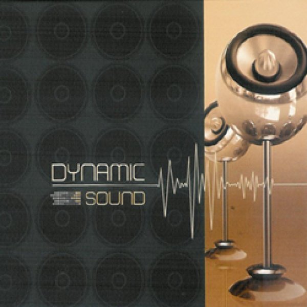 画像1: Dynamic / Dynamic Sound (1)