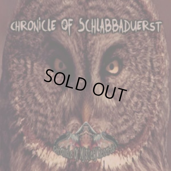 画像1: V.A / Chronicle Of Schlabbaduerst (1)