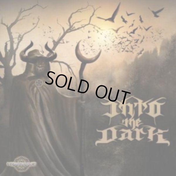 画像1: V.A / Into The Dark (1)