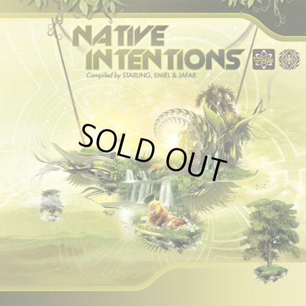画像1: V.A / Native Intentions (1)