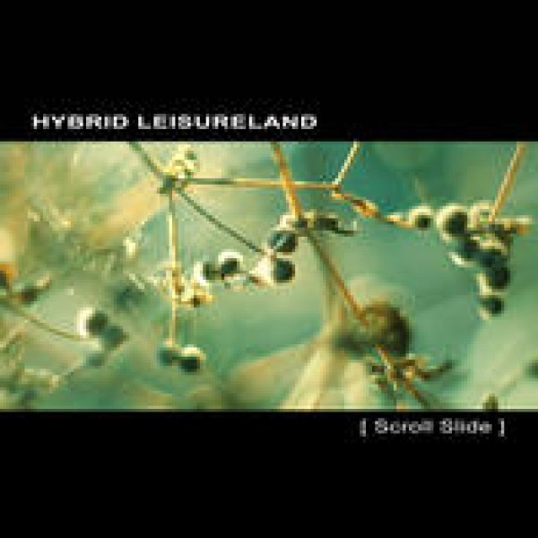 画像1: Hybrid Leisureland / Scroll Slide (1)