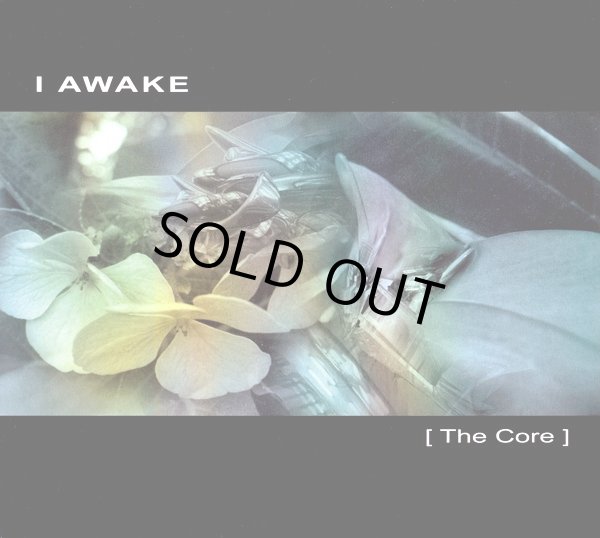 画像1: I Awake / The Core (1)