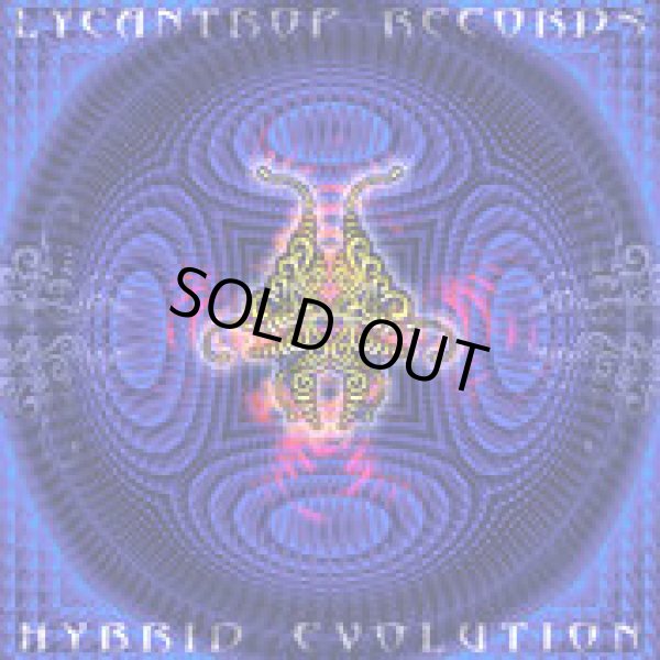 画像1: V.A / Hybrid Evolution (1)