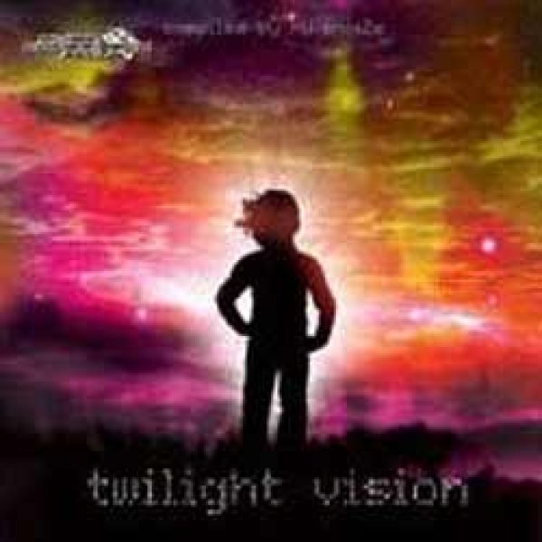 画像1: V.A / Twilight Vision (1)