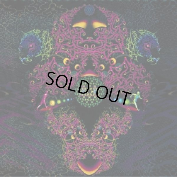 画像1: V.A / Lubra Instincts (1)