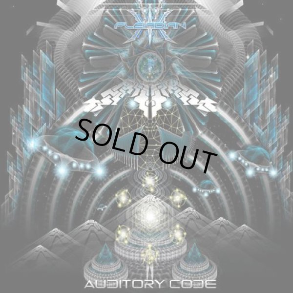 画像1: V.A / Auditory Code (1)