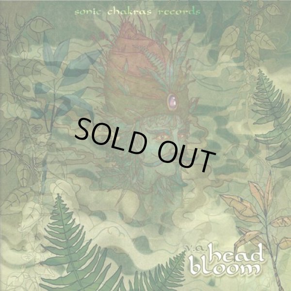 画像1: V.A / Head Bloom (1)