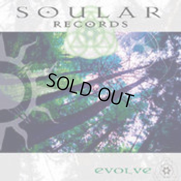 画像1: V.A / EVOLVE (1)