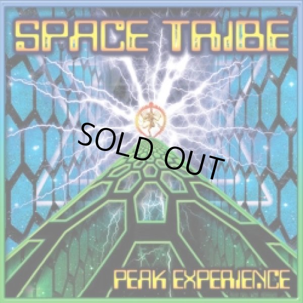 画像1: Space Tribe / Peak Experience (1)