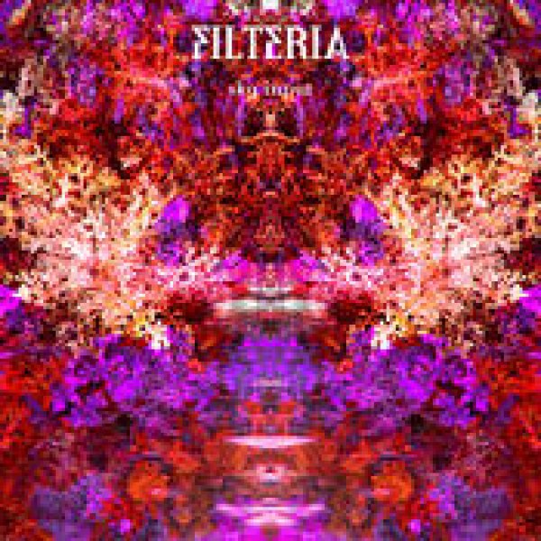 画像1: Filteria / Sky Input (1)
