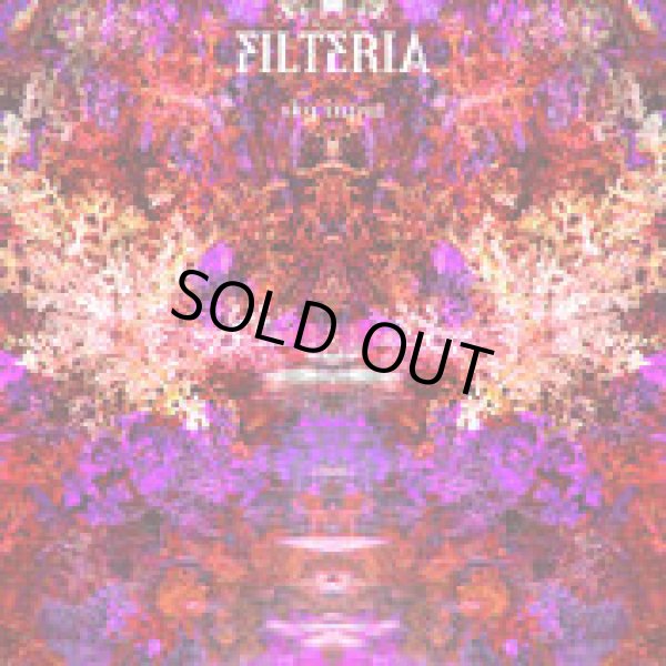 画像1: Filteria / Sky Input (1)