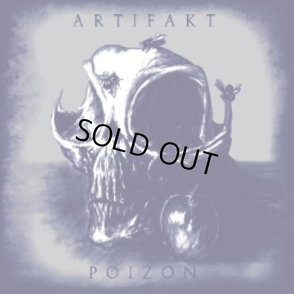 画像1: Artifakt and Poizon / Versus (1)