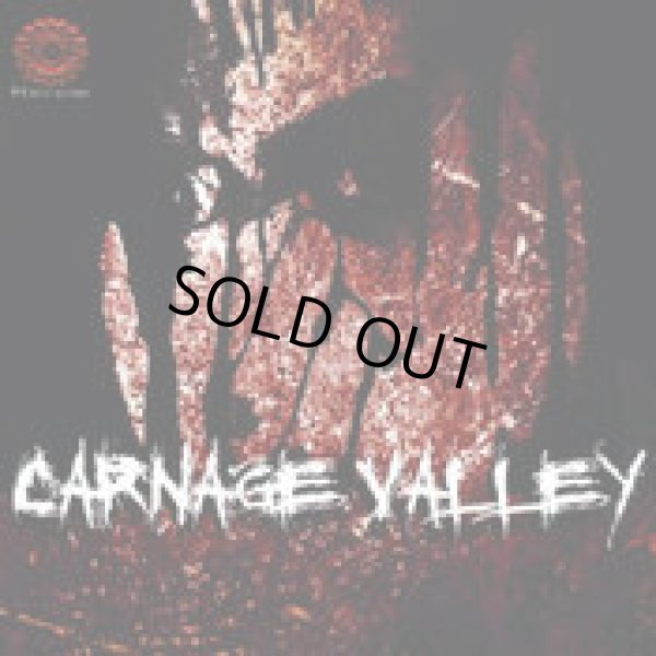 画像1: V.A / Carnage Valley (1)