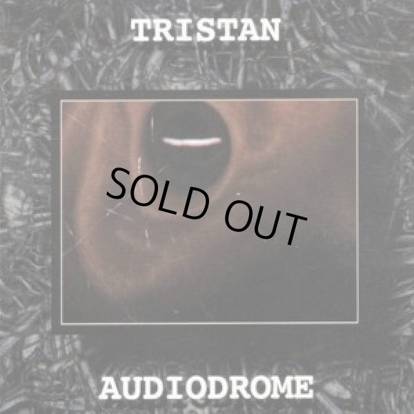 画像1: 【中古】 Tristan / Audiodrome (1)