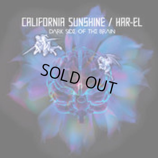 画像1: California Sunshine / Dark Side Of The Brain (1)