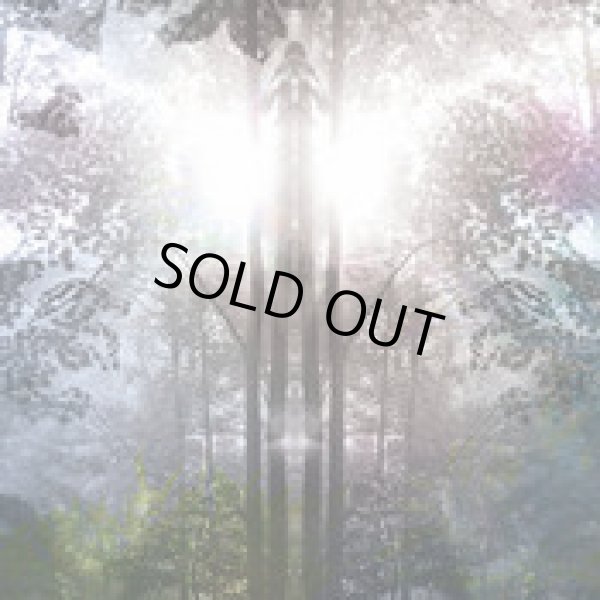 画像1: Ishq / Flowering Mountain Earth (1)