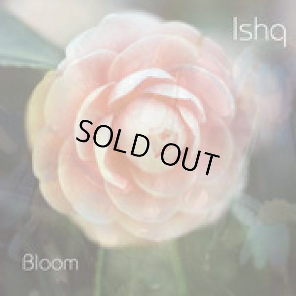 画像1: Ishq / Bloom (1)
